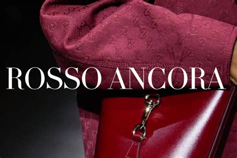 gucci a trento|gucci rosso ancora.